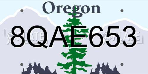 8QAE653 Oregon License Plate