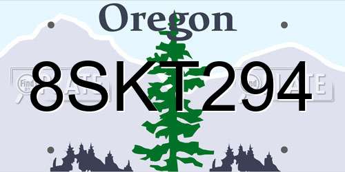 8SKT294 Oregon License Plate