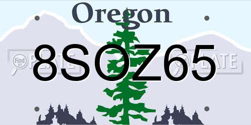 8SOZ65 Oregon License Plate