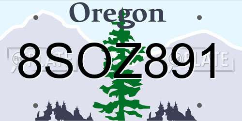 8SOZ891 Oregon License Plate
