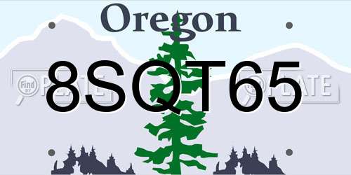 8SQT65 Oregon License Plate