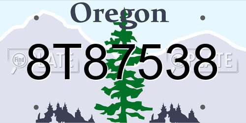 8T87538 Oregon License Plate