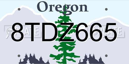 8TDZ665 Oregon License Plate