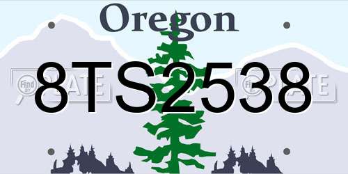 8TS2538 Oregon License Plate