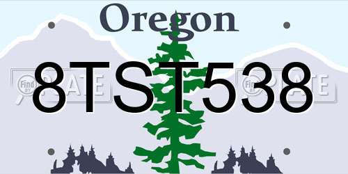 8TST538 Oregon License Plate