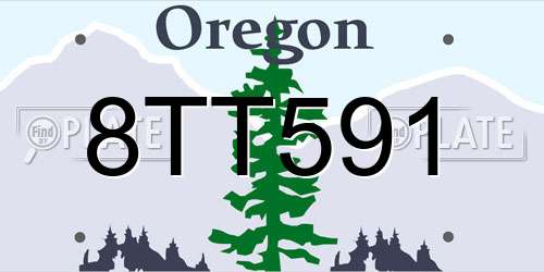 8TT591 Oregon License Plate