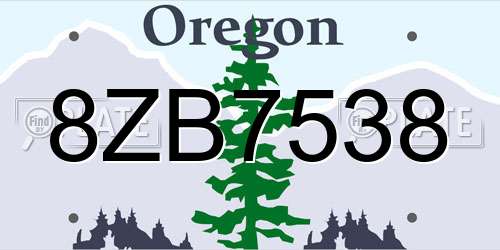 8ZB7538 Oregon License Plate