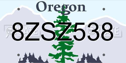 8ZSZ538 Oregon License Plate