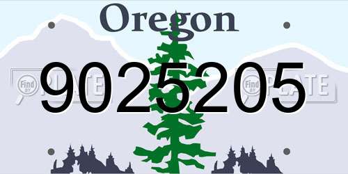 9025205 Oregon License Plate