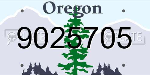 9025705 Oregon License Plate