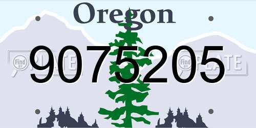 9075205 Oregon License Plate