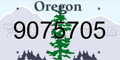 9075705 Oregon License Plate