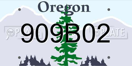 909B02 Oregon License Plate