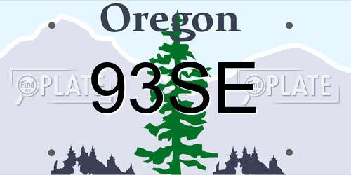 93SE Oregon License Plate