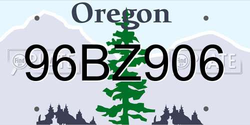 96BZ906 Oregon License Plate