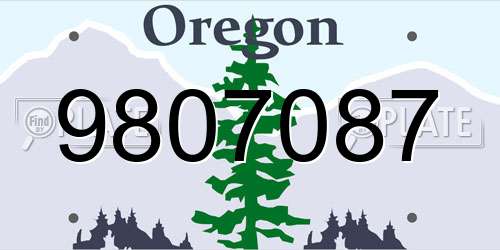9807087 Oregon License Plate