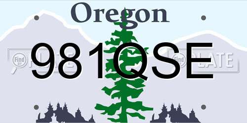981QSE Oregon License Plate