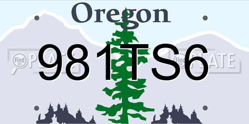 981TS6 Oregon License Plate