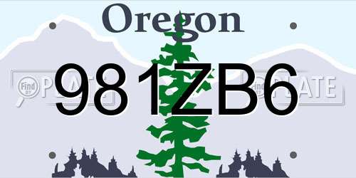981ZB6 Oregon License Plate