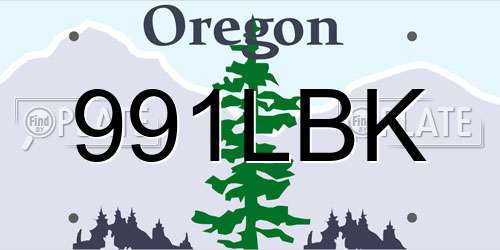 991LBK Oregon License Plate