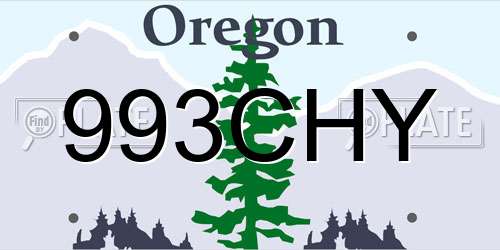 993CHY Oregon License Plate