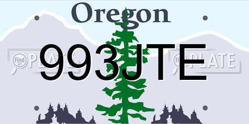 993JTE Oregon License Plate