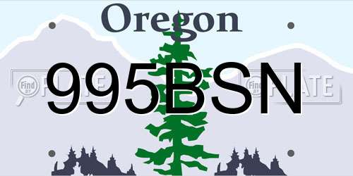 995BSN Oregon License Plate