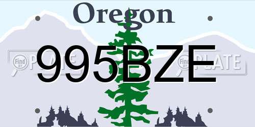 995BZE Oregon License Plate