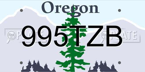 995TZB Oregon License Plate