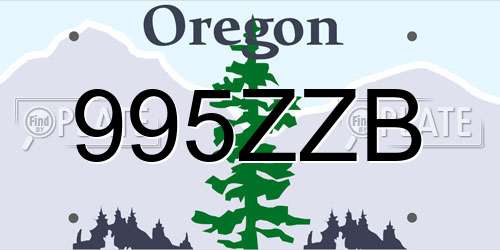 995ZZB Oregon License Plate