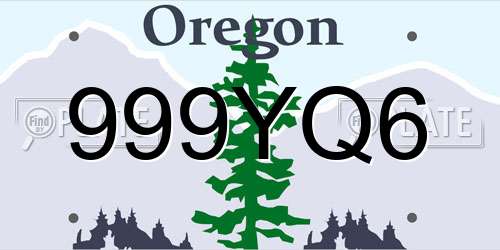 999YQ6 Oregon License Plate