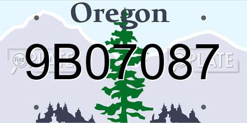 9B07087 Oregon License Plate