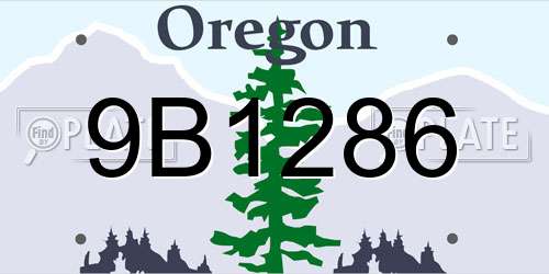 9B1286 Oregon License Plate