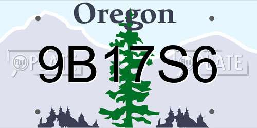 9B17S6 Oregon License Plate