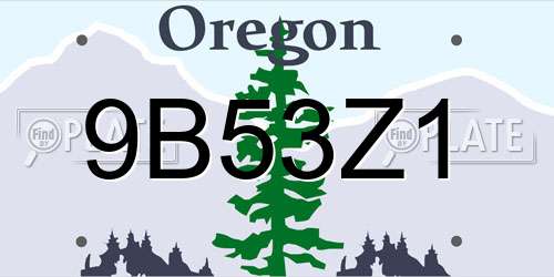 9B53Z1 Oregon License Plate