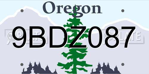 9BDZ087 Oregon License Plate