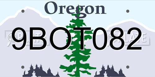 9BOT082 Oregon License Plate