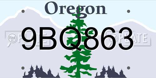 9BQ863 Oregon License Plate
