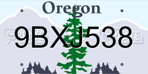 9BXJ538 Oregon License Plate