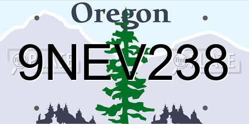9NEV238 Oregon License Plate