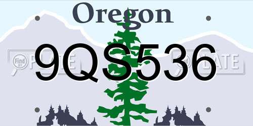 9QS536 Oregon License Plate
