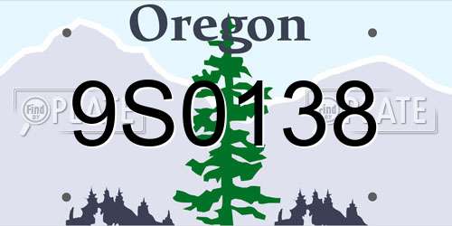 9S0138 Oregon License Plate