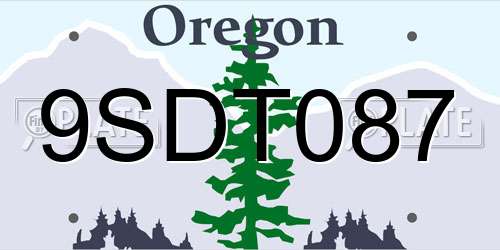 9SDT087 Oregon License Plate