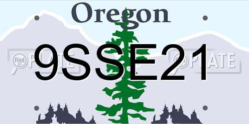 9SSE21 Oregon License Plate