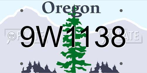 9W1138 Oregon License Plate