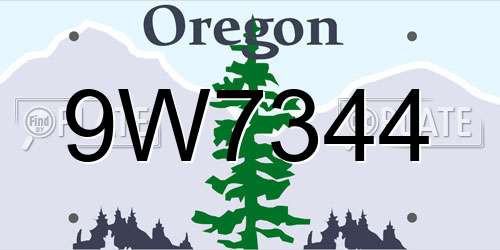 9W7344 Oregon License Plate