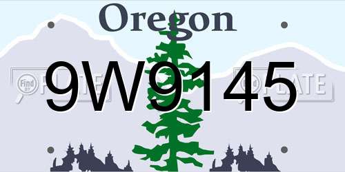 9W9145 Oregon License Plate