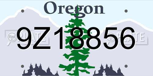 9Z18856 Oregon License Plate