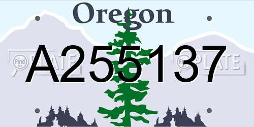 A255137 Oregon License Plate