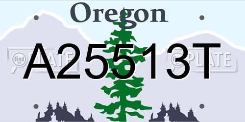 A25513T Oregon License Plate